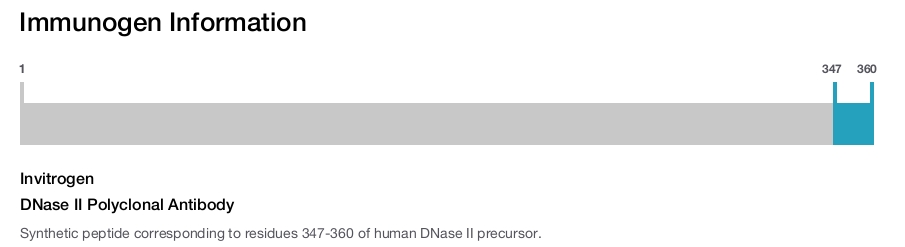 DNase II Polyclonal Antibody