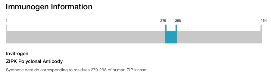 ZIPK Polyclonal Antibody