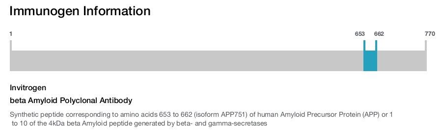 beta Amyloid Polyclonal Antibody