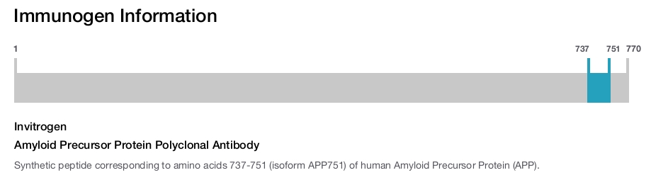 Amyloid Precursor Protein Polyclonal Antibody