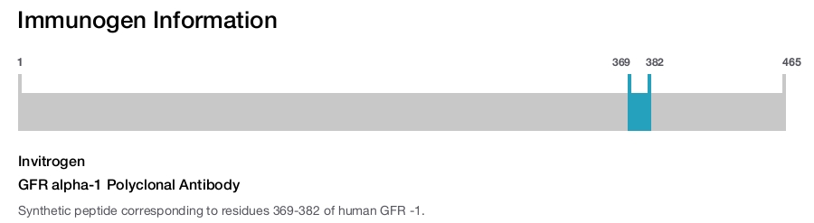 GFR alpha-1 Polyclonal Antibody