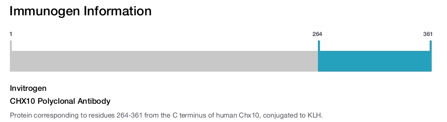 CHX10 Polyclonal Antibody