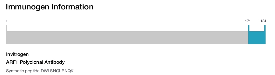 ARF1 Polyclonal Antibody