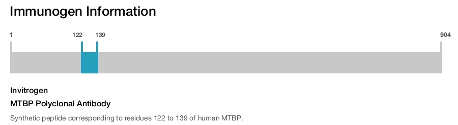 MTBP Polyclonal Antibody