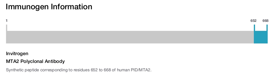 MTA2 Polyclonal Antibody