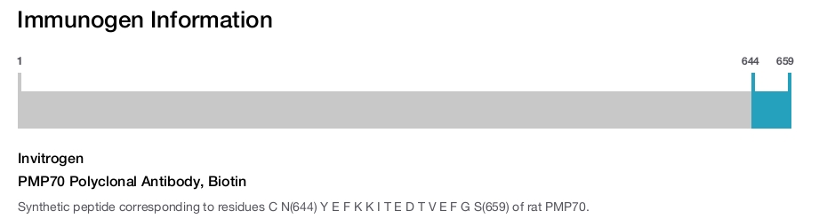 PMP70 Polyclonal Antibody, Biotin