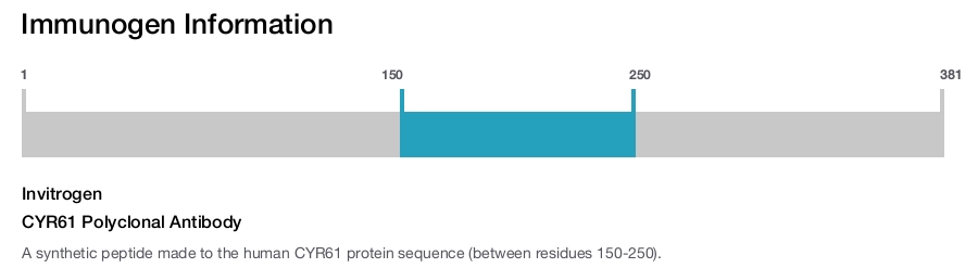 CYR61 Polyclonal Antibody