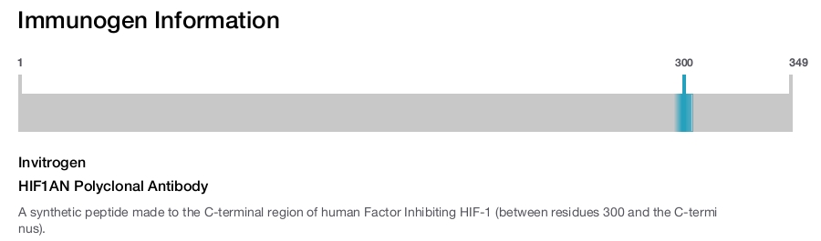 HIF1AN Polyclonal Antibody