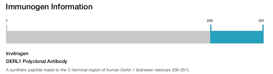 DERL1 Polyclonal Antibody