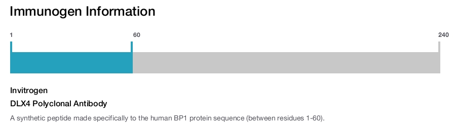DLX4 Polyclonal Antibody