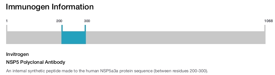 NSP5 Polyclonal Antibody