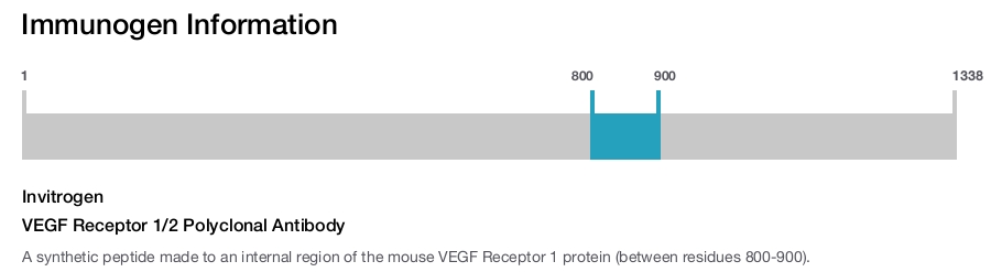VEGF Receptor 1/2 Polyclonal Antibody