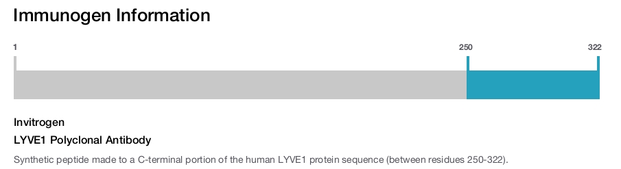 LYVE1 Polyclonal Antibody