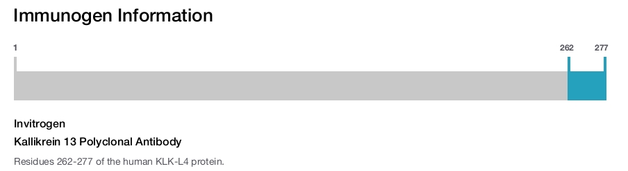 Kallikrein 13 Polyclonal Antibody