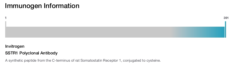 SSTR1 Polyclonal Antibody