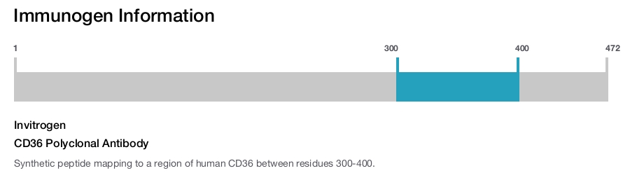 CD36 Polyclonal Antibody
