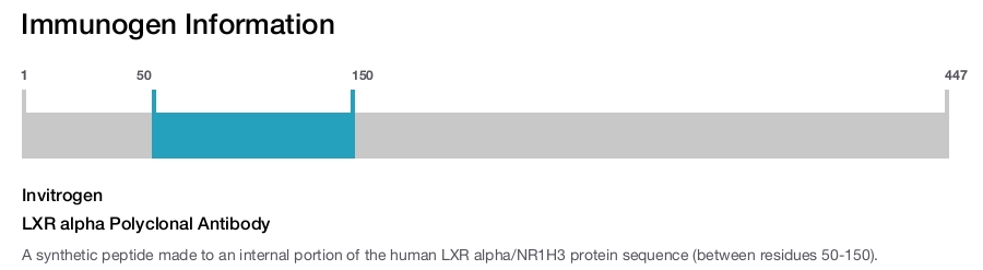 LXR alpha Polyclonal Antibody