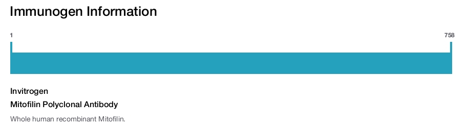 Mitofilin Polyclonal Antibody