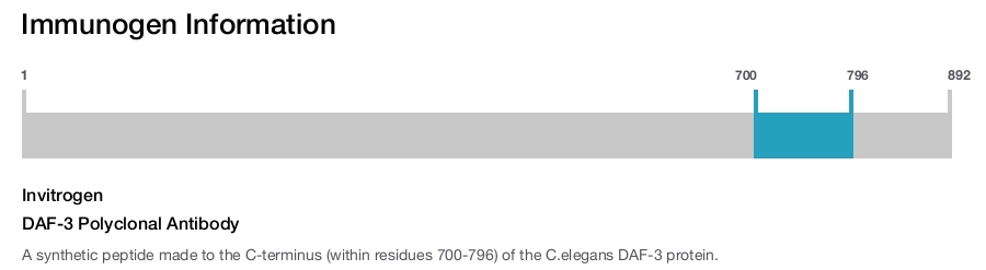 DAF-3 Polyclonal Antibody