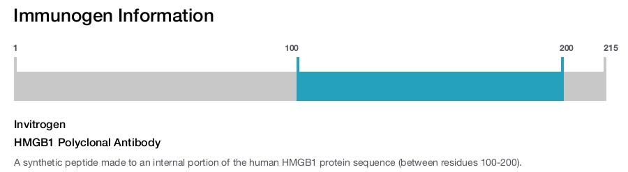 HMGB1 Polyclonal Antibody