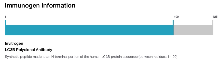 LC3B Polyclonal Antibody