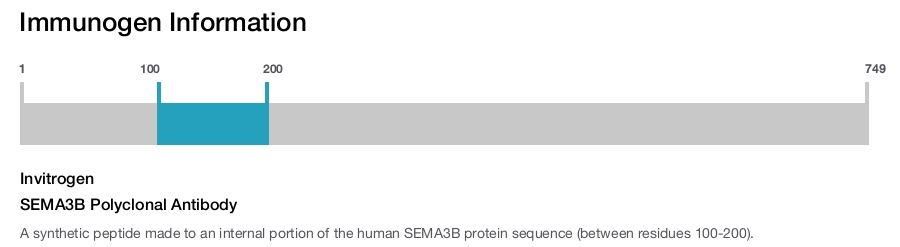 SEMA3B Polyclonal Antibody