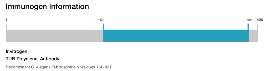 TUB Polyclonal Antibody