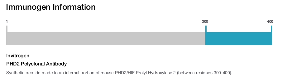 PHD2 Polyclonal Antibody