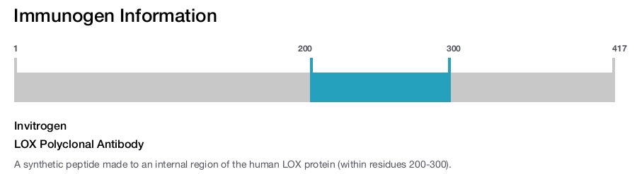 LOX Polyclonal Antibody