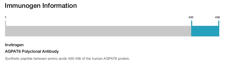 AGPAT6 Polyclonal Antibody