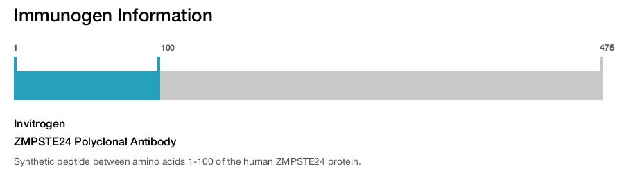 ZMPSTE24 Polyclonal Antibody