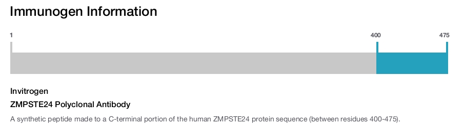 ZMPSTE24 Polyclonal Antibody
