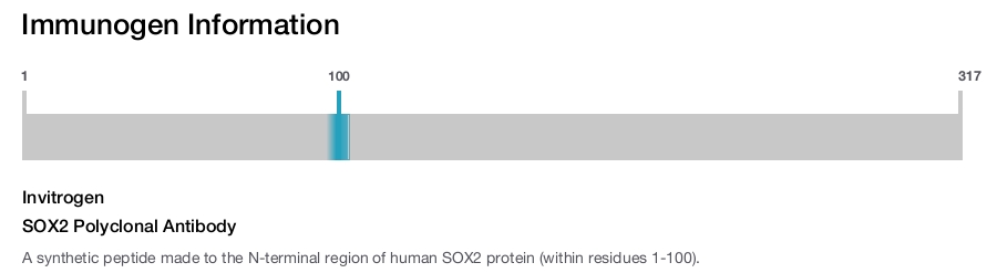 SOX2 Polyclonal Antibody