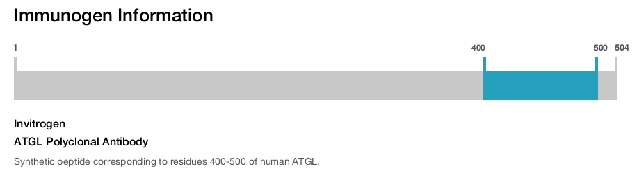 ATGL Polyclonal Antibody