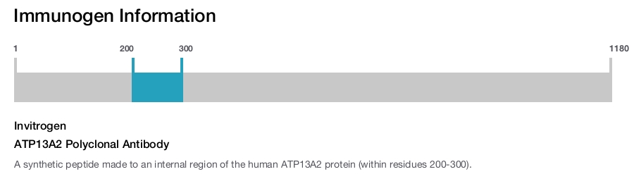 ATP13A2 Polyclonal Antibody