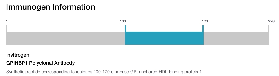 GPIHBP1 Polyclonal Antibody
