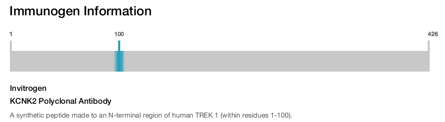 KCNK2 Polyclonal Antibody