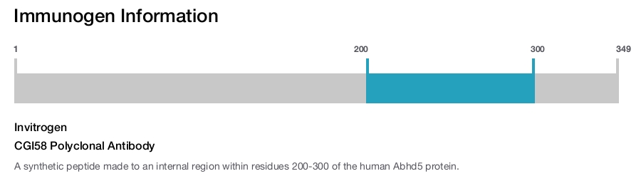 CGI58 Polyclonal Antibody