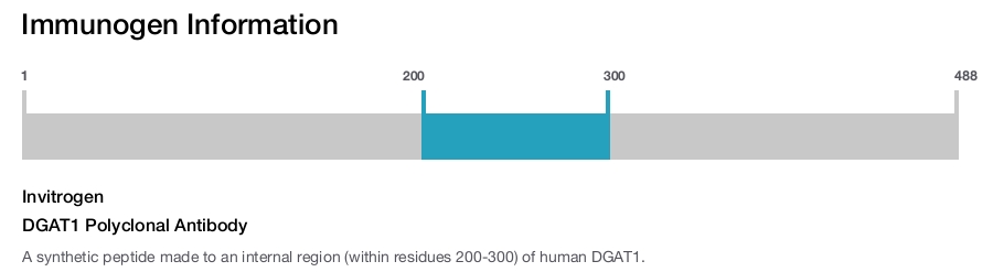 DGAT1 Polyclonal Antibody