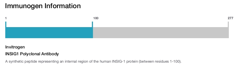 INSIG1 Polyclonal Antibody