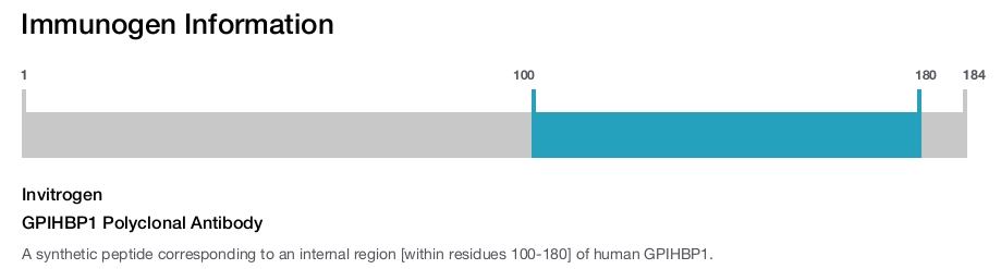 GPIHBP1 Polyclonal Antibody