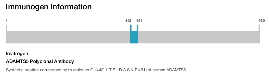 ADAMTS5 Polyclonal Antibody