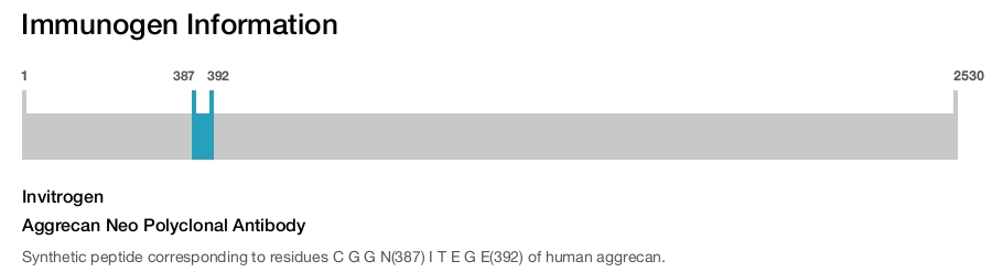 Aggrecan Neo Polyclonal Antibody