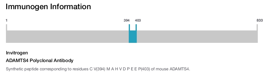 ADAMTS4 Polyclonal Antibody