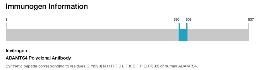 ADAMTS4 Polyclonal Antibody