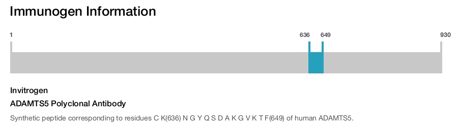 ADAMTS5 Polyclonal Antibody