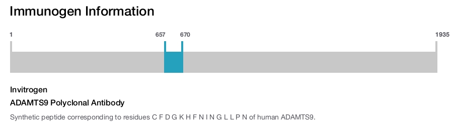 ADAMTS9 Polyclonal Antibody