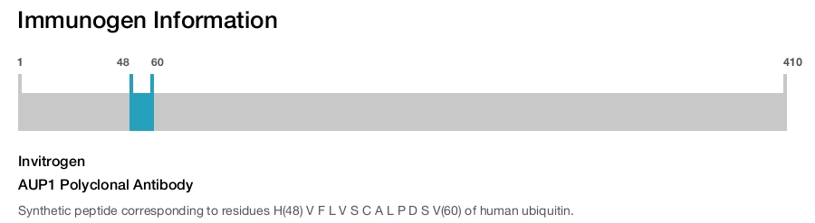 AUP1 Polyclonal Antibody