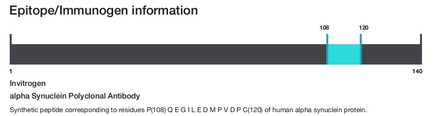 alpha Synuclein Polyclonal Antibody