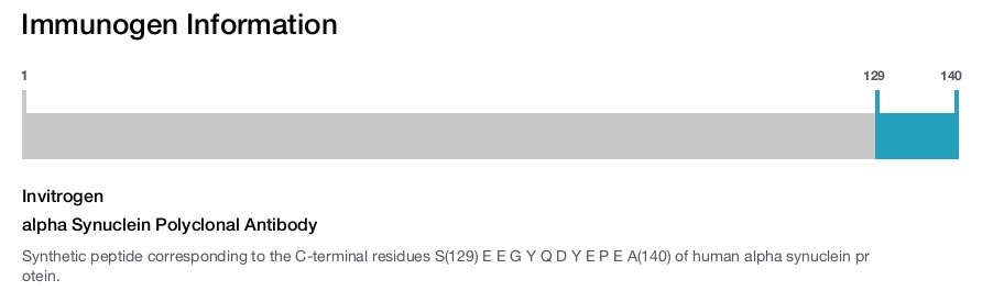 alpha Synuclein Polyclonal Antibody